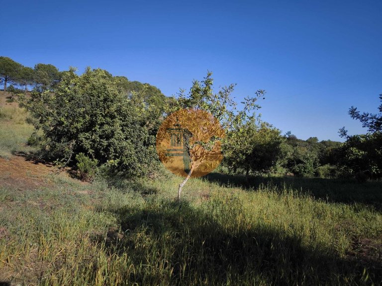 Plot for Sale in Azinhal, Castro Marim, Portugal 34
