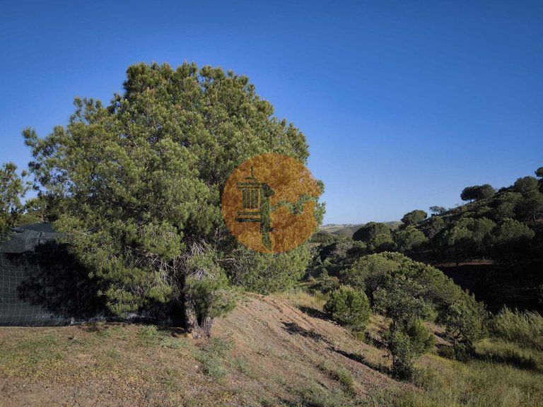 Plot for Sale in Azinhal, Castro Marim, Portugal 39