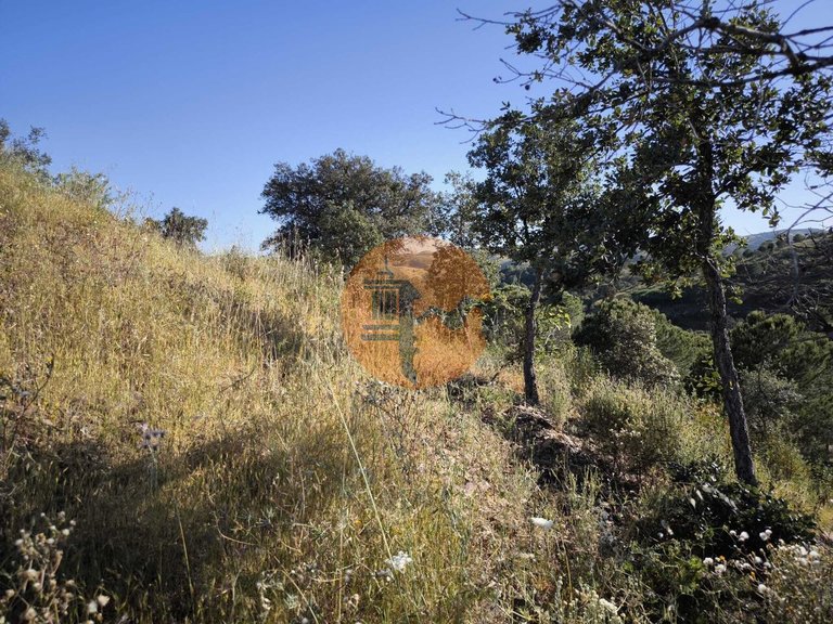 Plot for Sale in Azinhal, Castro Marim, Portugal 40