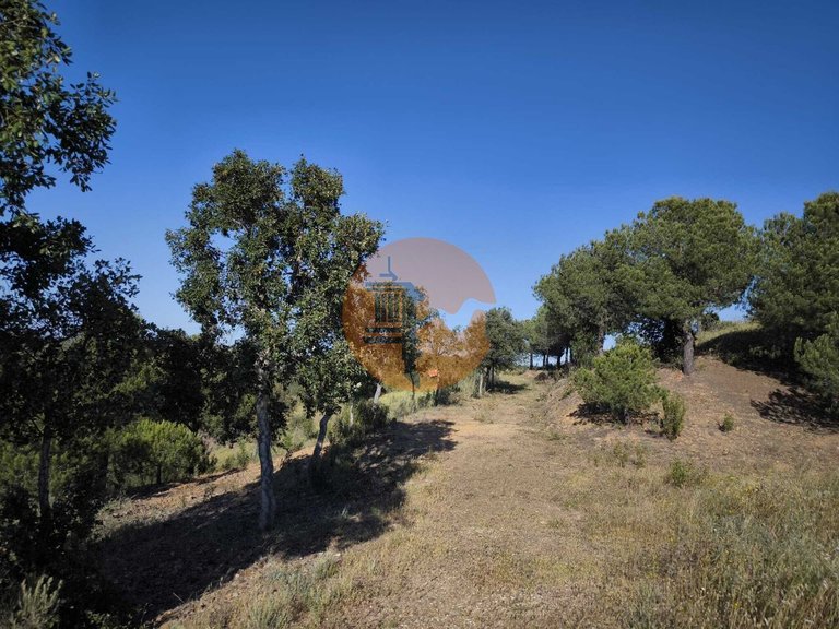 Plot for Sale in Azinhal, Castro Marim, Portugal 41