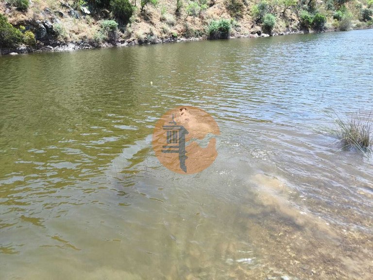 Plot for Sale in Azinhal, Castro Marim, Portugal 13