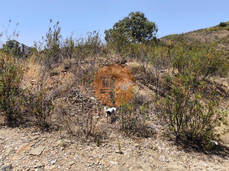 Plot for Sale in Azinhal, Castro Marim, Portugal 15