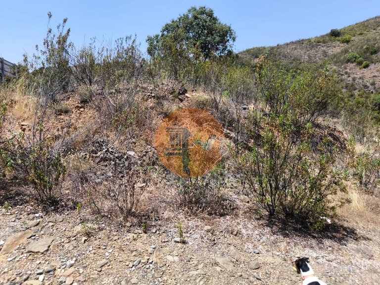 Plot for Sale in Azinhal, Castro Marim, Portugal 16