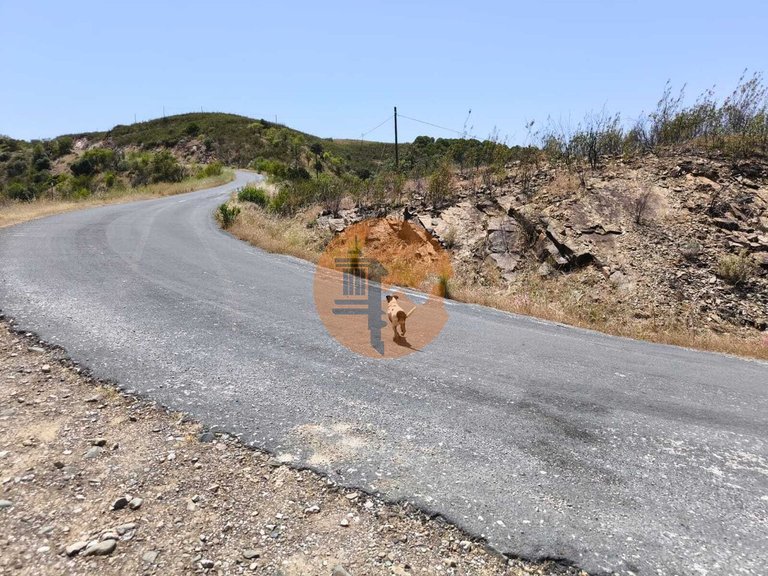 Plot for Sale in Azinhal, Castro Marim, Portugal 21