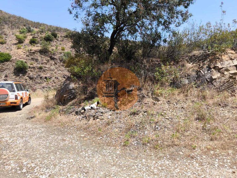 Plot for Sale in Azinhal, Castro Marim, Portugal 24