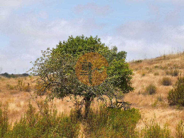 Plot for Sale in Castro Marim, Castro Marim, Portugal 1
