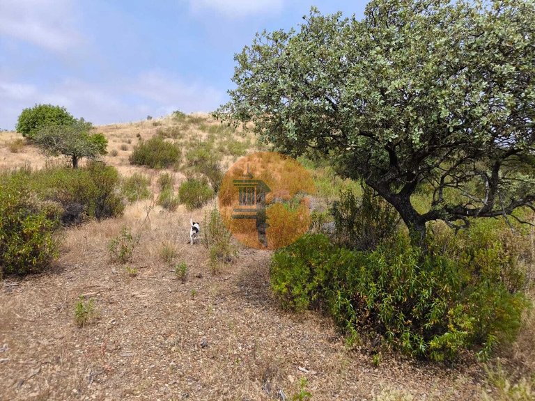 Plot for Sale in Castro Marim, Castro Marim, Portugal 4