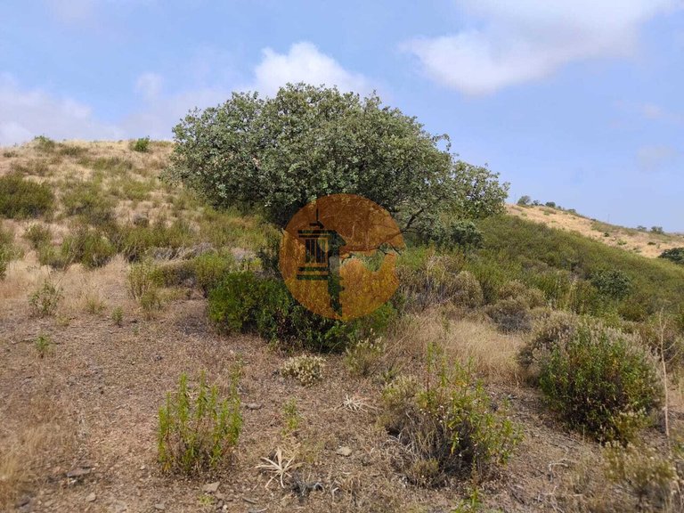 Plot for Sale in Castro Marim, Castro Marim, Portugal 16
