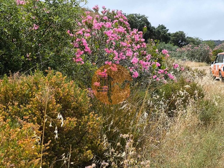Plot for Sale in Castro Marim, Castro Marim, Portugal 12