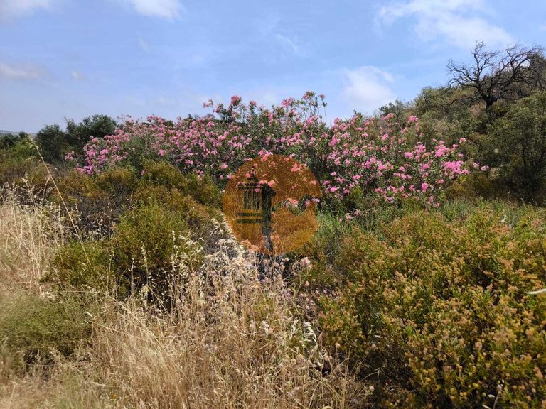 Plot for Sale in Castro Marim, Castro Marim, Portugal 18