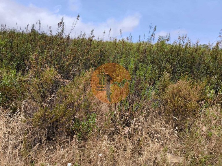 Plot for Sale in Castro Marim, Castro Marim, Portugal 19