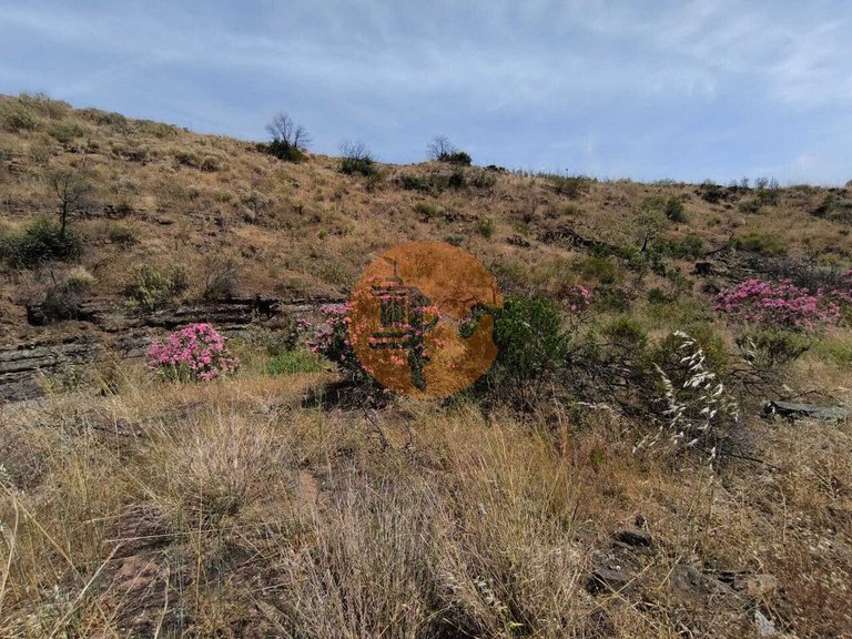 Plot for Sale in Vila Nova De Cacela, Vila Real De Santo António, Portugal 4