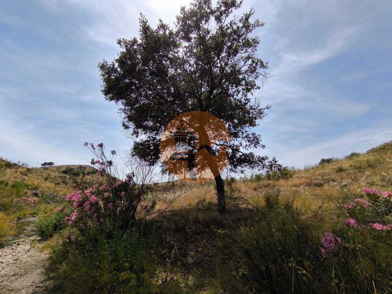 Plot for Sale in Vila Nova De Cacela, Vila Real De Santo António, Portugal 3