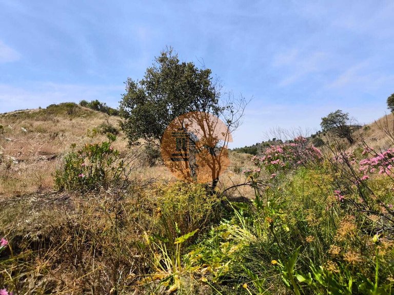 Plot for Sale in Vila Nova De Cacela, Vila Real De Santo António, Portugal 6
