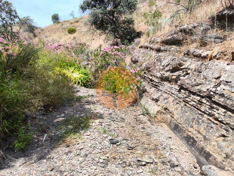 Plot for Sale in Vila Nova De Cacela, Vila Real De Santo António, Portugal 8