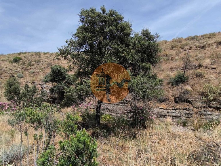 Plot for Sale in Vila Nova De Cacela, Vila Real De Santo António, Portugal 9