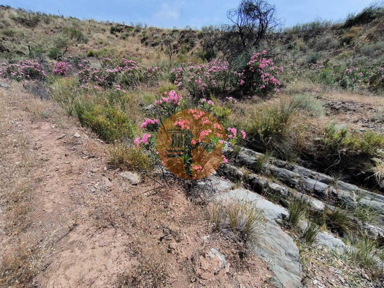 Plot for Sale in Vila Nova De Cacela, Vila Real De Santo António, Portugal 15