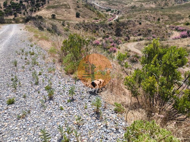 Plot for Sale in Vila Nova De Cacela, Vila Real De Santo António, Portugal 27