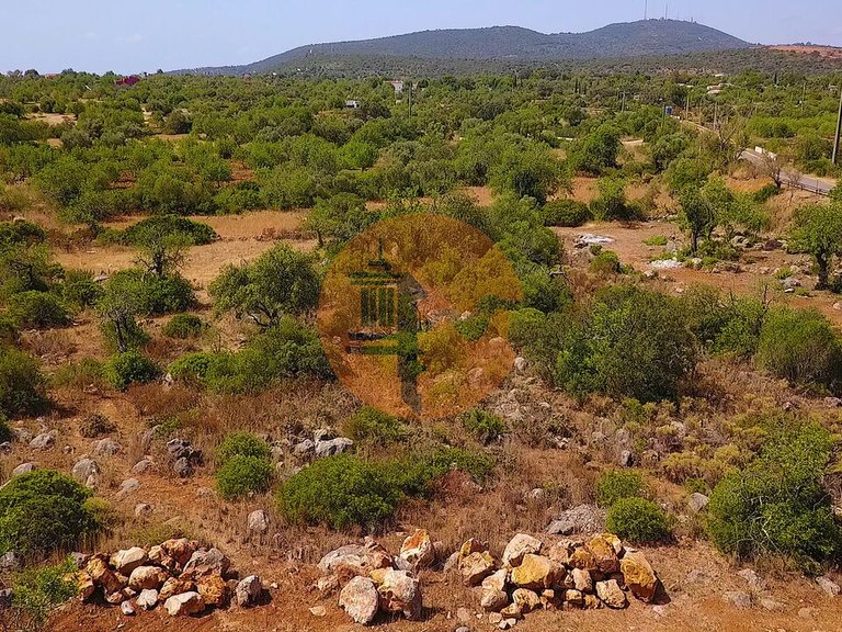 Plot for Sale in Santa Catarina Da Fonte Do Bispo, Tavira, Portugal 4