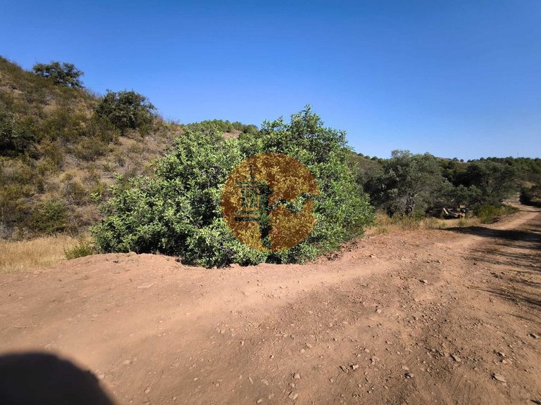 Plot for Sale in Odeleite, Castro Marim, Portugal 20