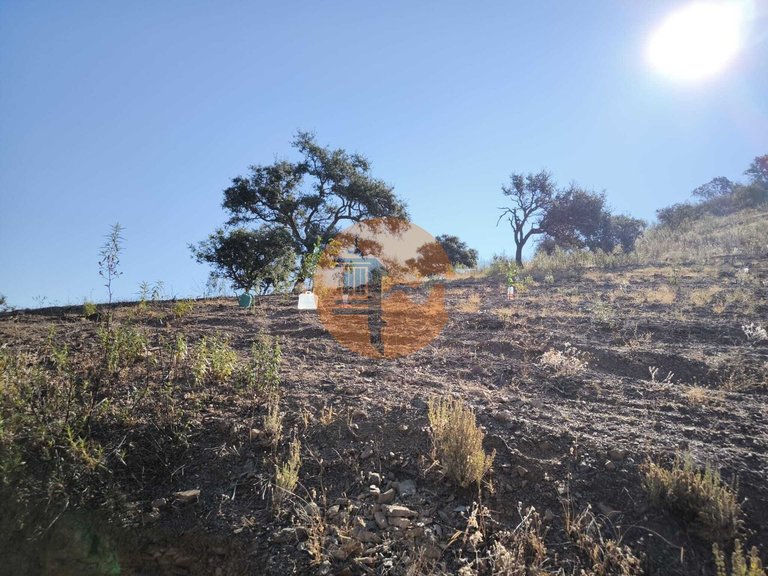 Plot for Sale in Odeleite, Castro Marim, Portugal 21