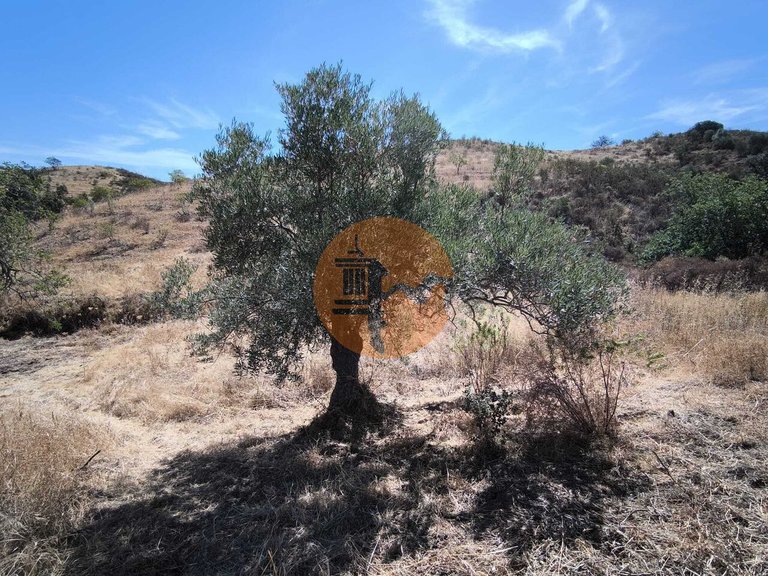 Plot for Sale in Castro Marim, Castro Marim, Portugal 26