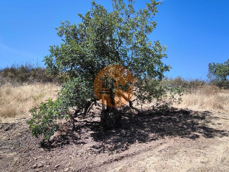 Plot for Sale in Castro Marim, Castro Marim, Portugal 28