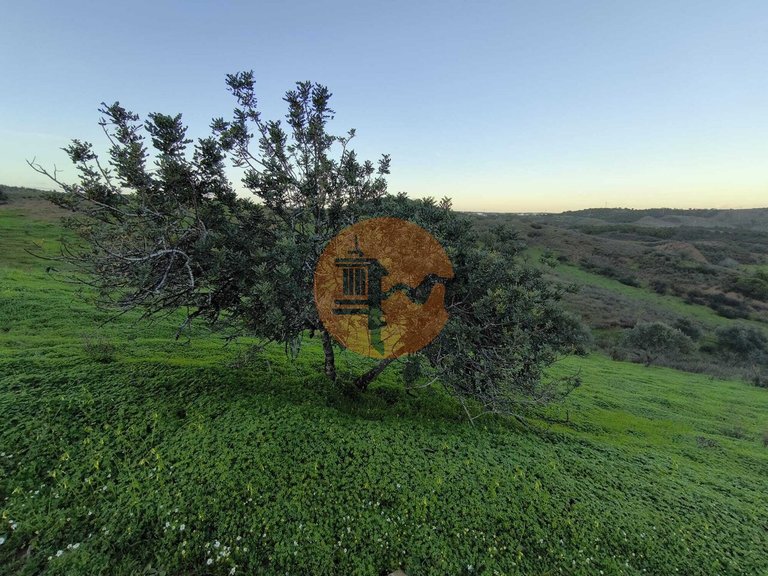 Plot for Sale in Castro Marim, Castro Marim, Portugal 16