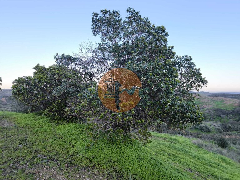 Plot for Sale in Castro Marim, Castro Marim, Portugal 17