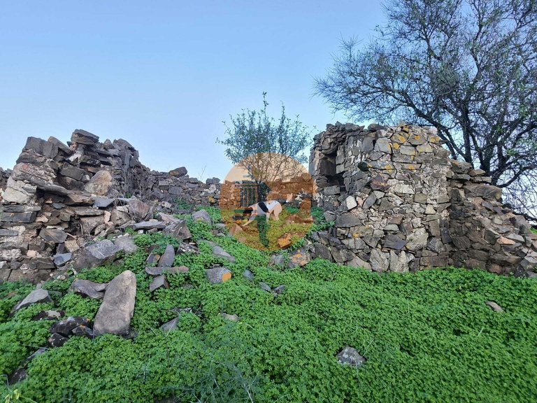 Plot for Sale in Castro Marim, Castro Marim, Portugal 5