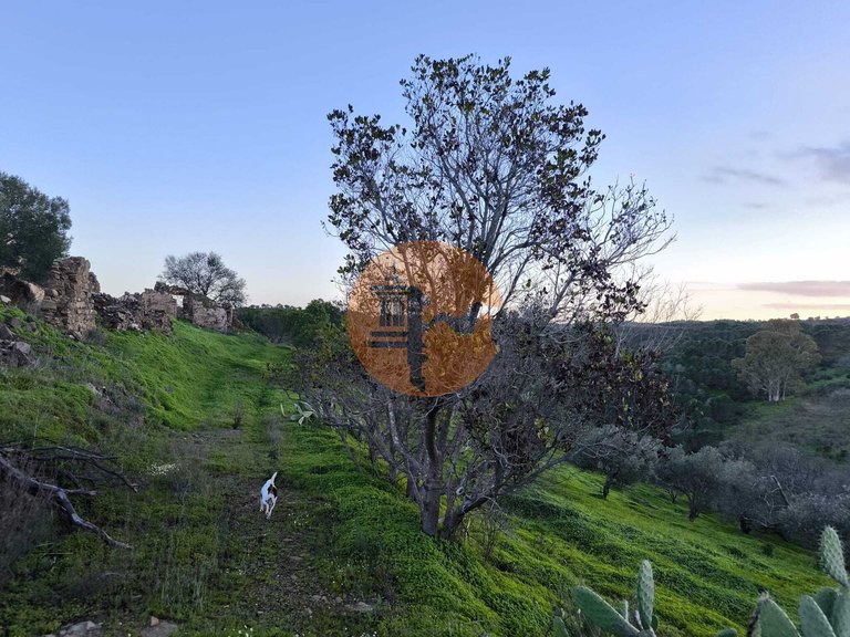 Plot for Sale in Castro Marim, Castro Marim, Portugal 27