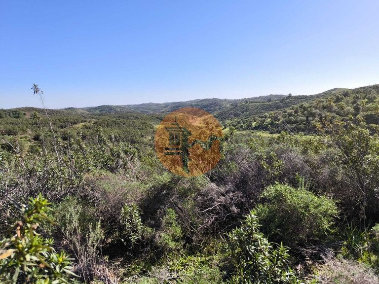 Plot for Sale in Castro Marim, Castro Marim, Portugal 5