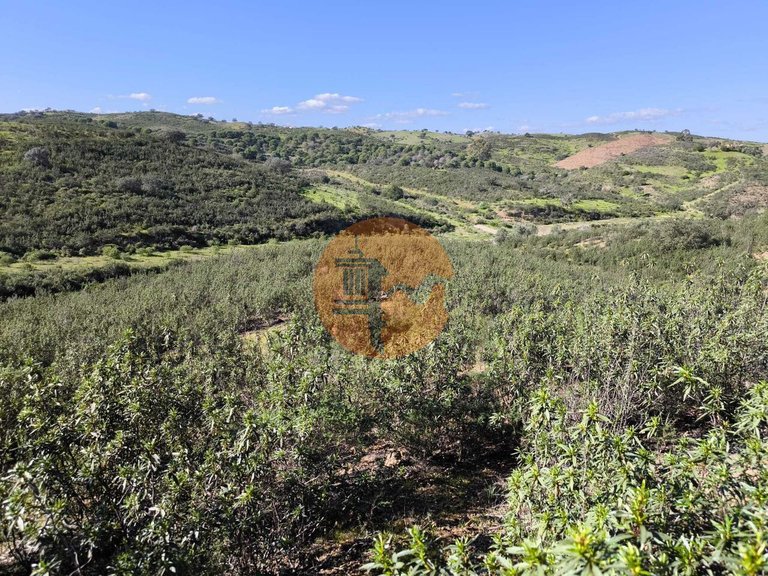 Plot for Sale in Castro Marim, Castro Marim, Portugal 3