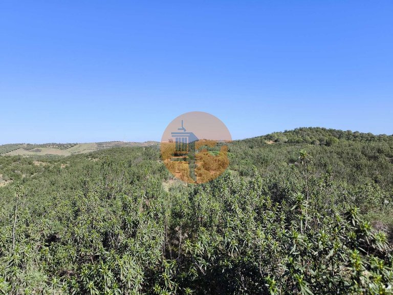 Plot for Sale in Castro Marim, Castro Marim, Portugal 12