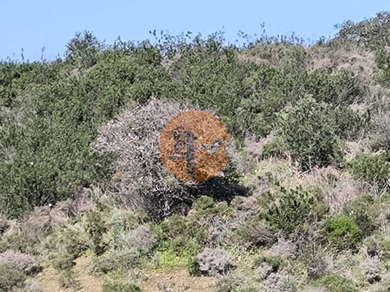 Plot for Sale in Castro Marim, Castro Marim, Portugal 15