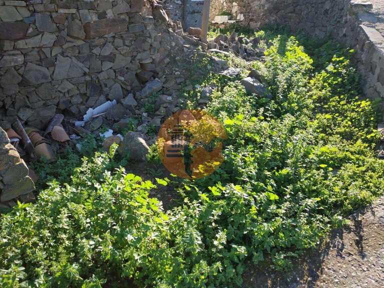 Plot for Sale in Azinhal, Castro Marim, Portugal 30
