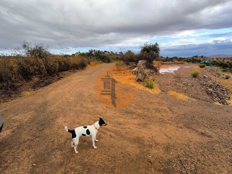 Plot for Sale in Azinhal, Castro Marim, Portugal 7