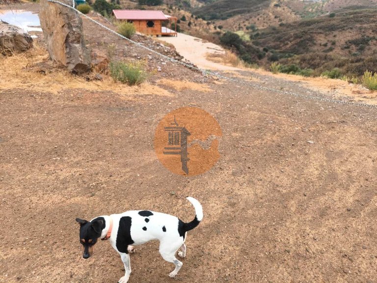 Plot for Sale in Azinhal, Castro Marim, Portugal 6