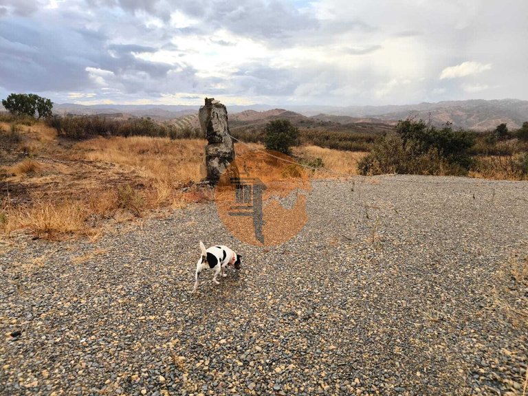 Plot for Sale in Azinhal, Castro Marim, Portugal 36