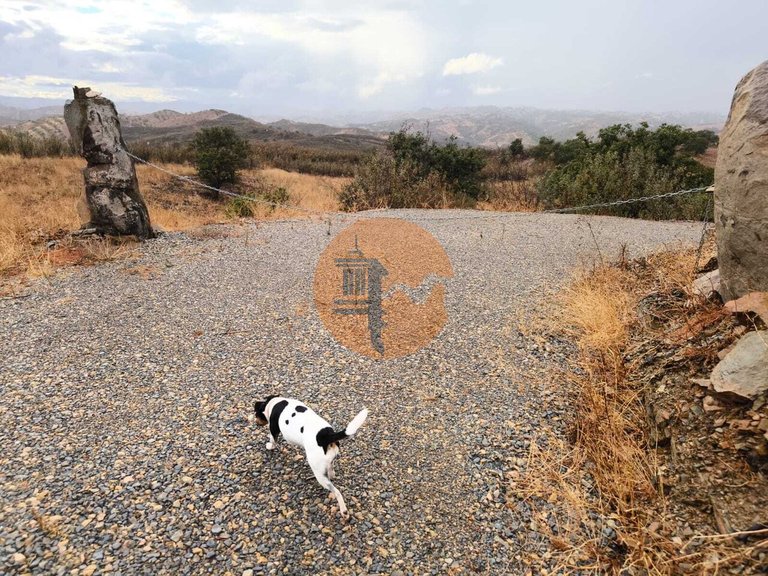Plot for Sale in Azinhal, Castro Marim, Portugal 38