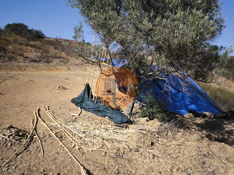 Plot for Sale in Azinhal, Castro Marim, Portugal 21