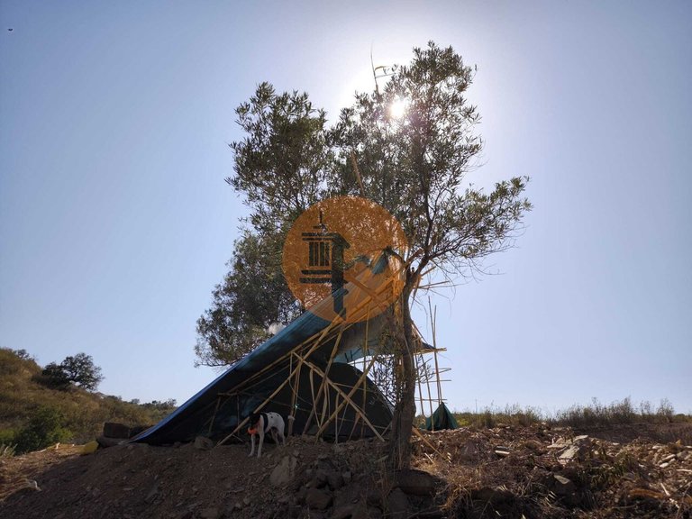 Plot for Sale in Azinhal, Castro Marim, Portugal 1