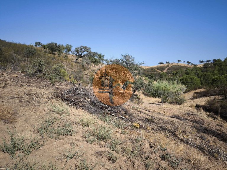 Plot for Sale in Azinhal, Castro Marim, Portugal 12