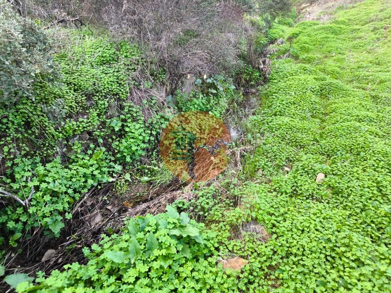 Plot for Sale in Azinhal, Castro Marim, Portugal 3