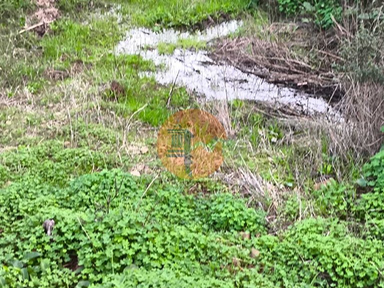 Plot for Sale in Azinhal, Castro Marim, Portugal 7