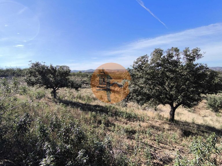 Plot for Sale in Azinhal, Castro Marim, Portugal 7