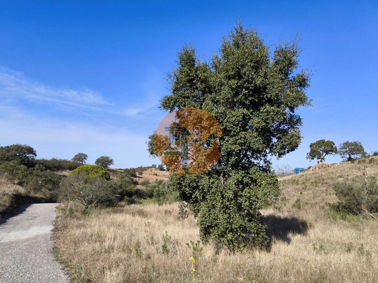 Plot for Sale in Azinhal, Castro Marim, Portugal 19