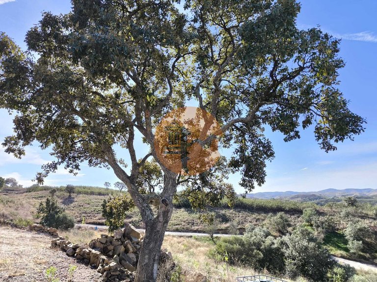 Plot for Sale in Azinhal, Castro Marim, Portugal 21
