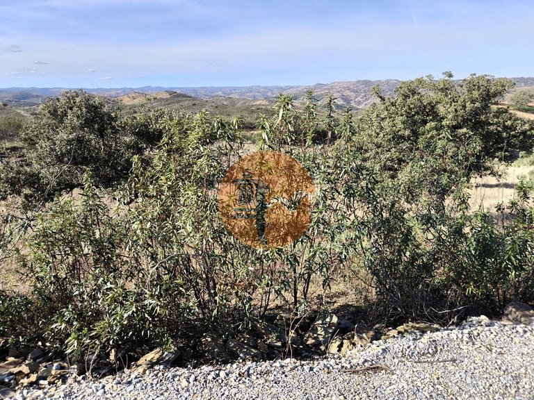 Plot for Sale in Azinhal, Castro Marim, Portugal 44