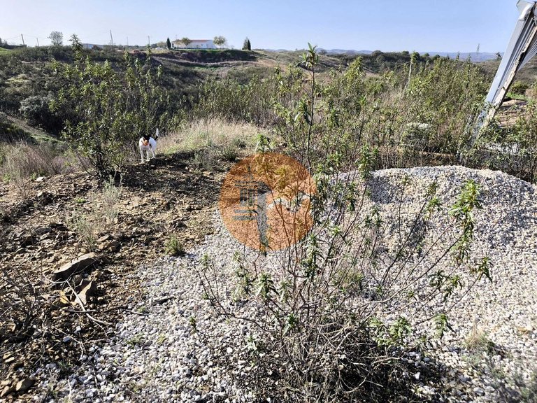 Plot for Sale in Azinhal, Castro Marim, Portugal 10